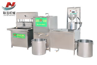 全自動(dòng)鹵水大豆腐機(jī) 我選濟(jì)南聯(lián)浩