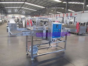 【大洋生產(chǎn)雞排掛漿機品牌/圖片/價格_上漿機詳細參數(shù)】- 